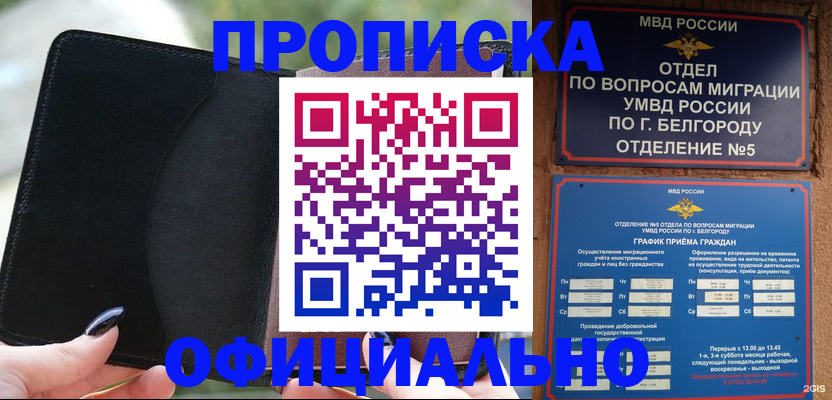 найти адрес прописки в Курске